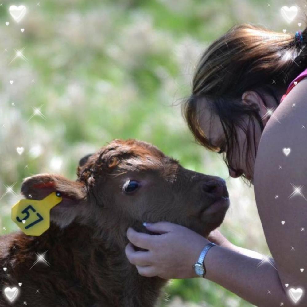 Meet your Posher, Magillacaudy